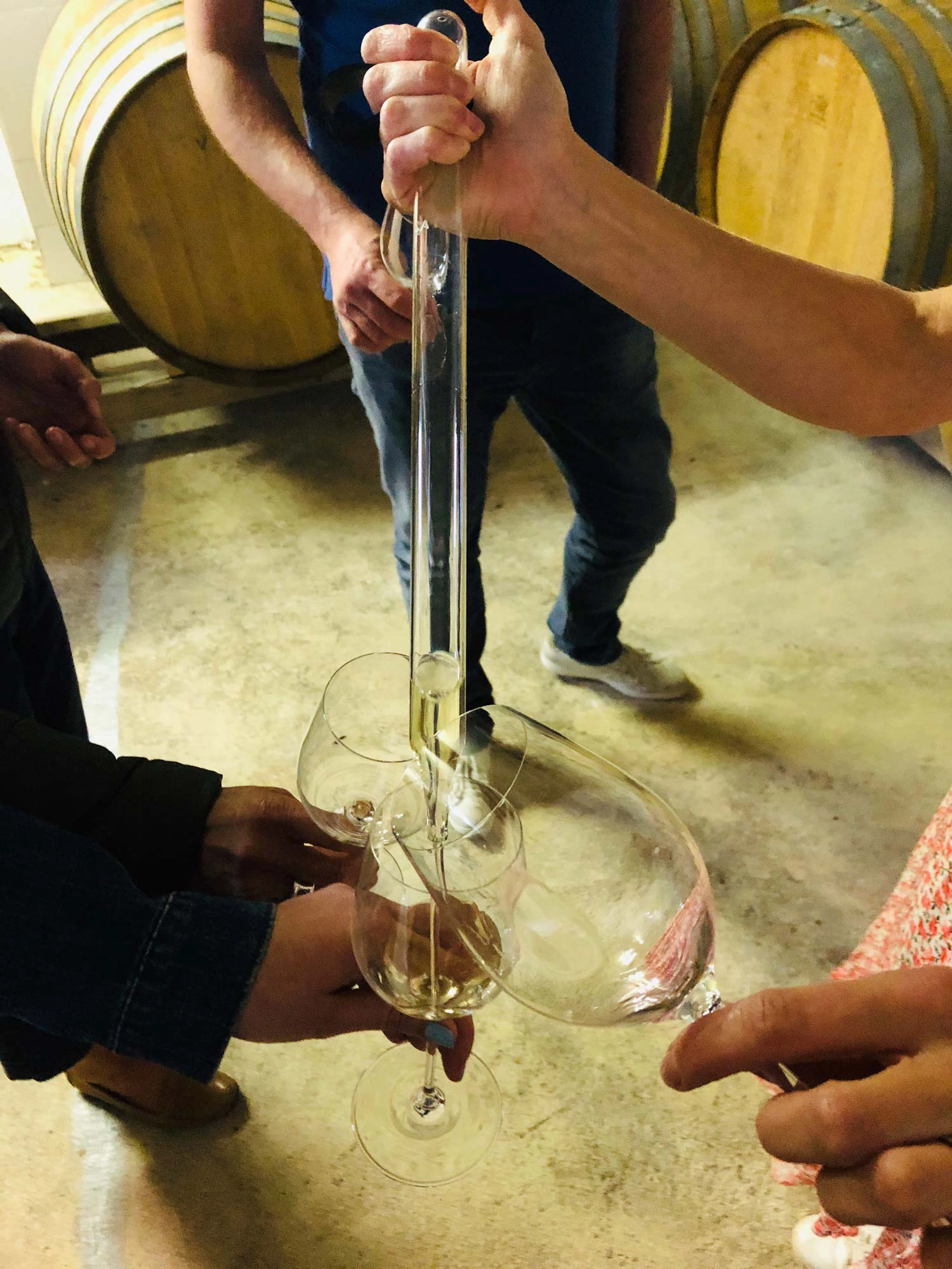 Keskongout’ Degustation